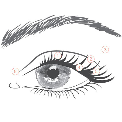 How to Apply Eyeshadow (By the Numbers)